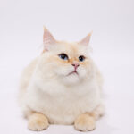 Gwenaël - juin 2023 